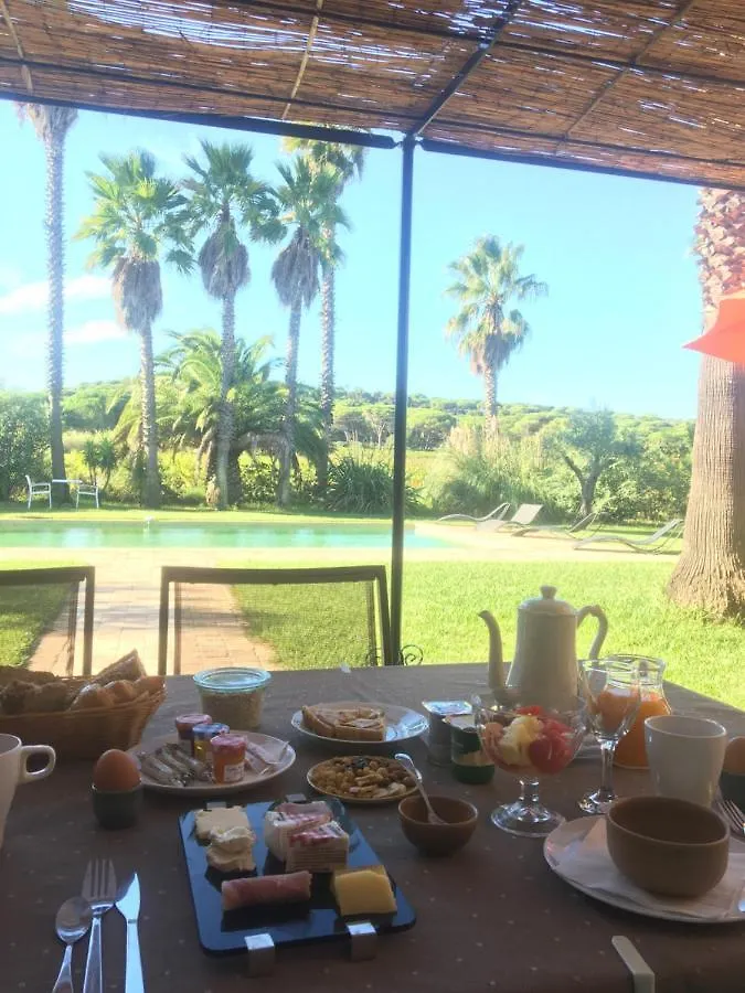 Bed & Breakfast Clos Des Vignes Pampelonne Vineyard Ramatuelle