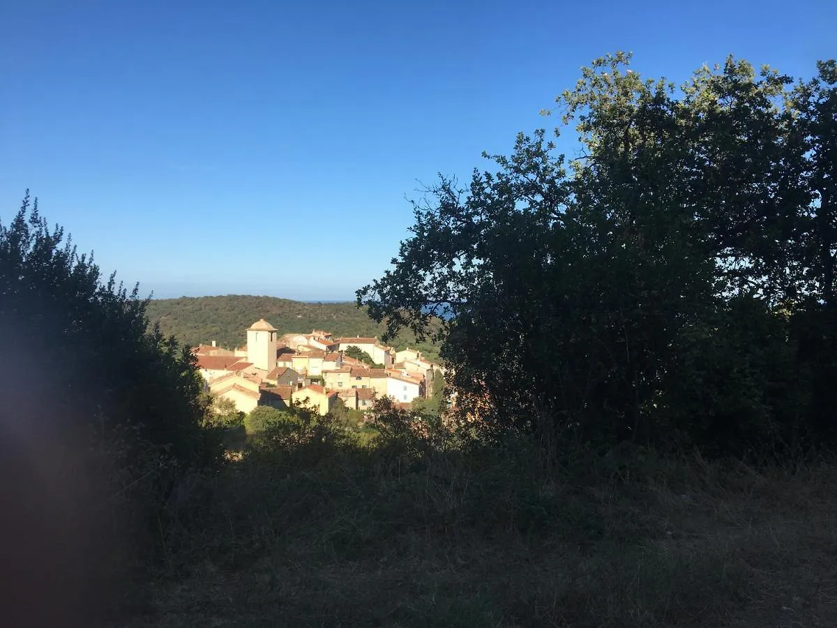 Clos Des Vignes Pampelonne Vineyard Ramatuelle 0*,  France